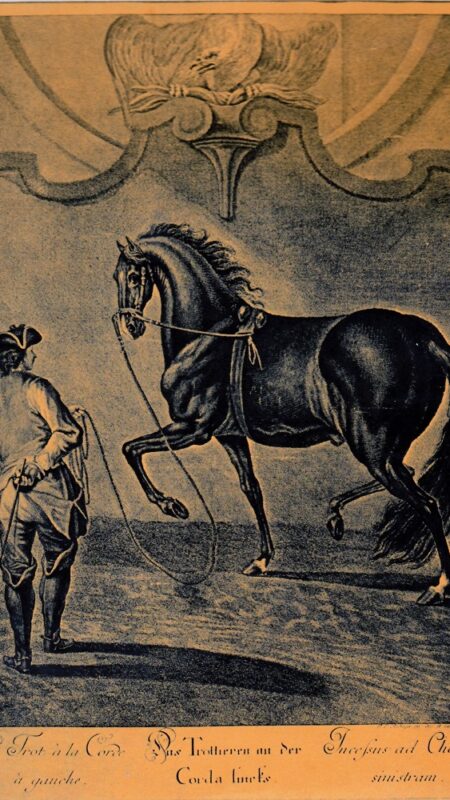 An early example of longeing the horse in side reins in an uphill frame. Engraving by J.E. Ridinger